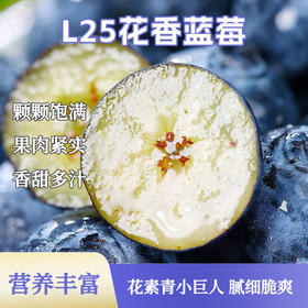 L25花香蓝莓 单果18mm+  4盒装