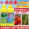s诱抗素龙蟒福生着色转色剂番茄花芽分化水稻小麦烟草生长调节剂 商品缩略图2