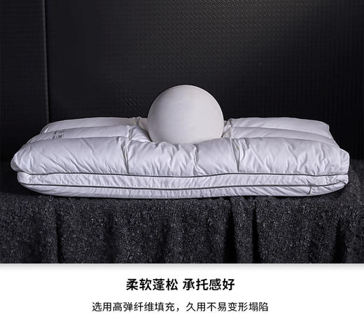 【维科家纺】  慢回弹鹅毛纤维枕/只 商品图9