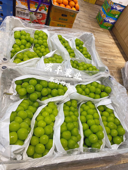 宏丰精选，特级阳光玫瑰 口感甜，硬度很好，活动价‼️12.8一斤 商品图4