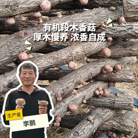 有机段木香菇（预售 ） | 合作生产*Organic Fresh Shiitake (Log-Cultivated) | Partner Production