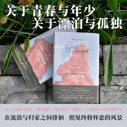 黑塞经典：美丽的青春 | 记录自然与青春的奏鸣曲 商品图2