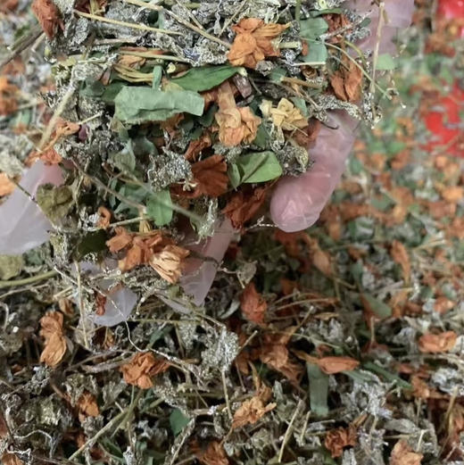 连山特产护肝茶150克 商品图1