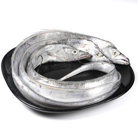 严选 | 舟山雷达网油带鱼（冰鲜）6-8条/3斤 