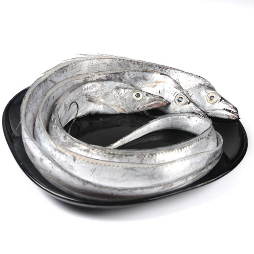 顺丰冷链，正宗舟山雷达网带鱼 细腻油润！深海捕捞！营养高！舟选海鲜 码头直达 纯野生 肉质细腻 商品图9