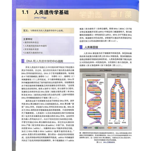 眼科学：第6版 陈有信 主译 涵盖光性治疗性角膜切除术 人工晶状体光学 囊袋内白内障手术、晶状体囊切除术 科学技术文献出版社 商品图4