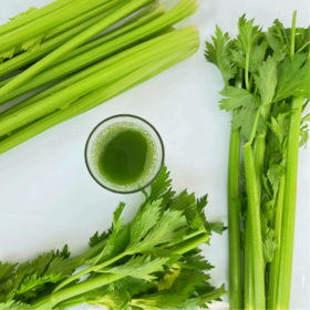 【8斤减10+赠品】生态西芹 | 5斤/8斤 芹香浓郁 脆嫩多汁 膳食纤维补充 鲜食榨汁西芹 无农药生态种植芹菜「购8斤西芹送皱皮甘蓝200g*1袋」