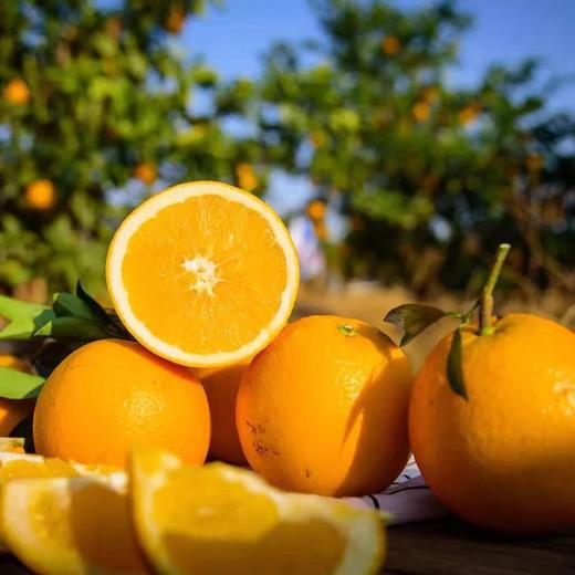 【福利❗️19.9抢3斤赣南脐橙】产地现摘现发，新鲜直达，甘甜爽口，皮薄肉厚！正宗江西赣州新鲜水果当季整箱手剥橙子现摘 商品图2