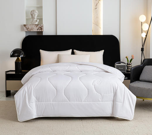 红蜻蜓舒眠臻品羊毛冬被 商品图0