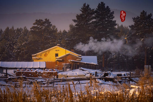 2月2日【东北冰雪恋歌】丹顶鹤、东北虎、雪乡、雾凇行摄8天 商品图5