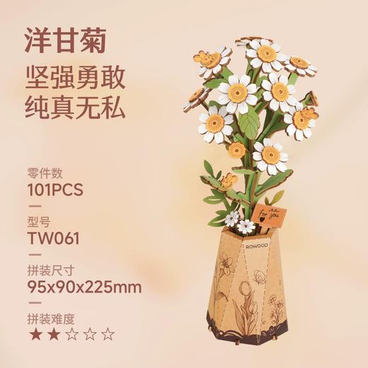若来手工DIY微缩模型合集 商品图2