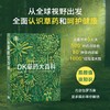 DK草药大百科 商品缩略图0