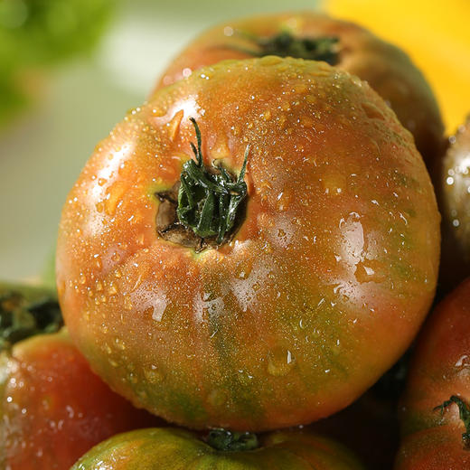 草莓柿子酸甜可口自然成熟饱满多汁 现摘现发可生吃小时候的味道 商品图3