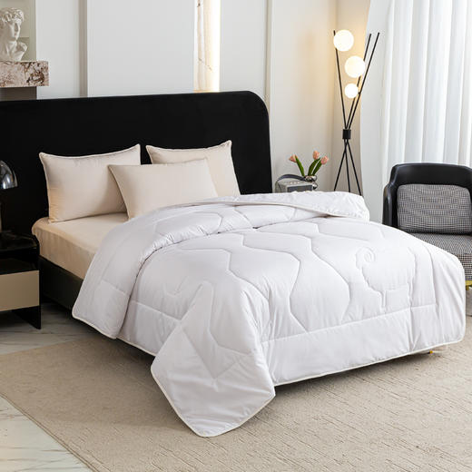 红蜻蜓舒眠臻品羊毛冬被 商品图3