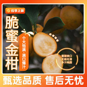 农道大叔 广西脆蜜金柑 1.8斤/2.5斤礼盒装 个大饱满 多汁纯甜 72小时发货（果蔬生鲜签收24小时内保留完整包装面单可售后，超时不予理赔，拍下默认接受）