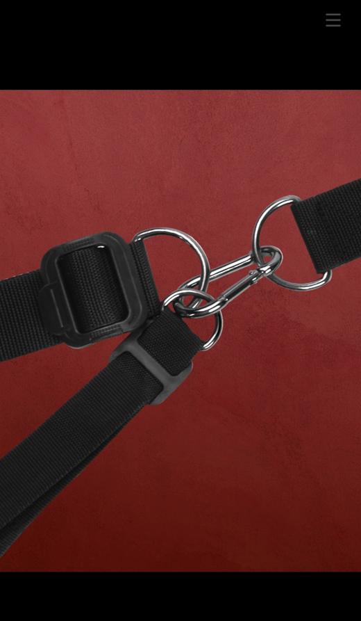 SwingSHAK!泰坦绑门秋千，悬空调教调琴，运动愉悦两不误 商品图3