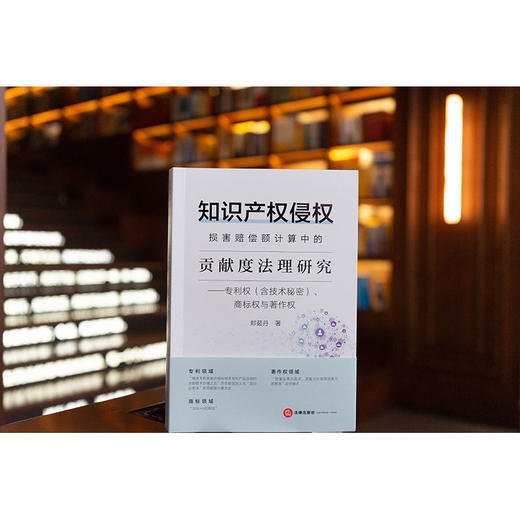 知识产权侵权损害赔偿额计算中的贡献度法理研究：专利权（含技术秘密）、商标权与著作权 郑茹丹著 法律出版社 商品图1