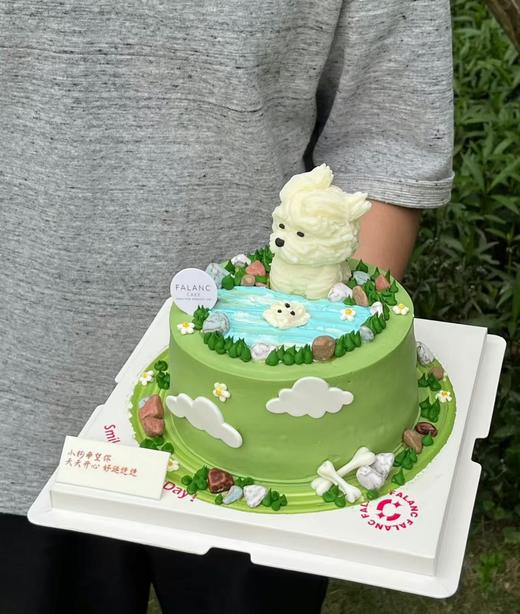 风中凌乱小动物卡通蛋糕-低糖处理无添加 商品图2