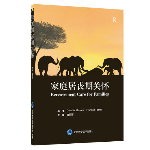 家庭居丧期关怀 唐丽丽 主译  北医社 商品图0