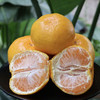 涌泉高山蜜桔 商品缩略图7