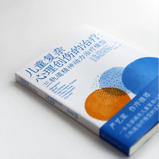 儿童复杂心理创伤的治疗 : 三轨道精神动力治疗模型 商品图2