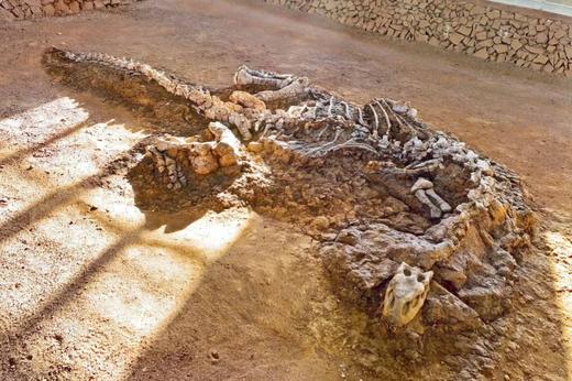 优惠减￥1000，12.22截止【拾色滇东南6天5晚亲子营】去云南温暖过冬！走进现实版“侏罗纪公园”，跟着专家挖恐龙！哈尼梯田摸鱼，建水“赶科举”，闯进弥勒“东方魔幻城”，住哈尼族蘑菇屋！ 商品图2