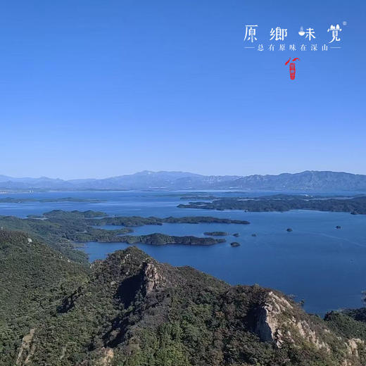 【野生虾米】密云水库野生虾/虾米（基地直发-顺丰包邮）|  多种规格，来自北京密云水库（北京重要饮用水源），生产者：张友【合作生产，公平贸易】 商品图4