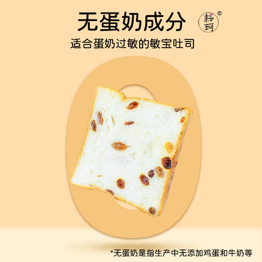 提子鲜吐司 600g 商品图2