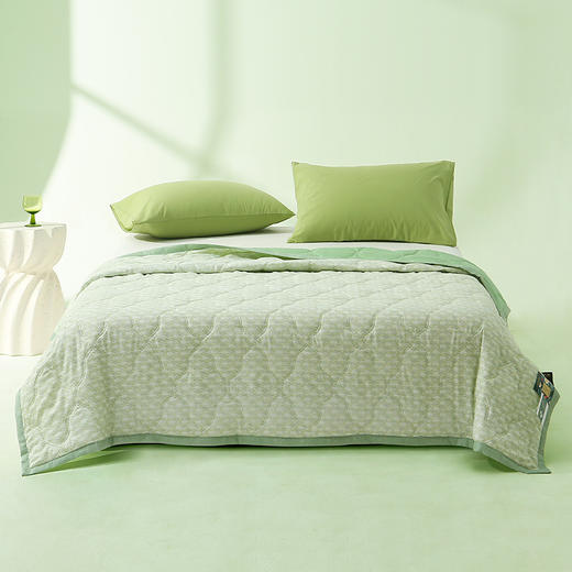 Z.M.N.(法国啄木鸟)艾香夏凉被1.5米-小艾芯ZHB-0049 商品图0