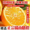 【营养健康❗️清甜多汁】赣州果园直供江西赣南脐橙应季新鲜薄皮橙子超市水果整箱甜。ja 商品缩略图1