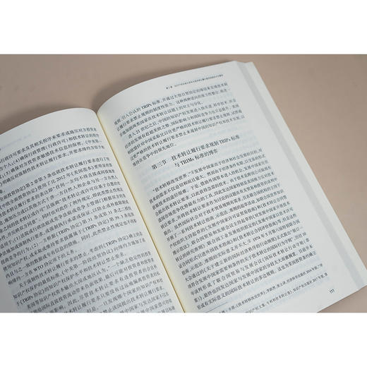 投资条约视阈下的知识产权保护研究 何艳著 法律出版社 商品图3