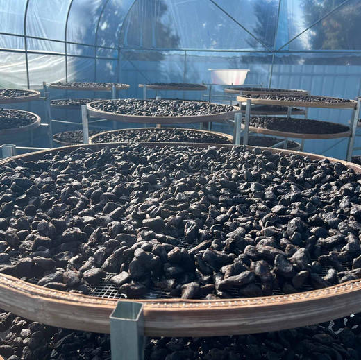 云南纯手工九蒸九晒黄精 滇黄精/多花黄精   500g/瓶 商品图1