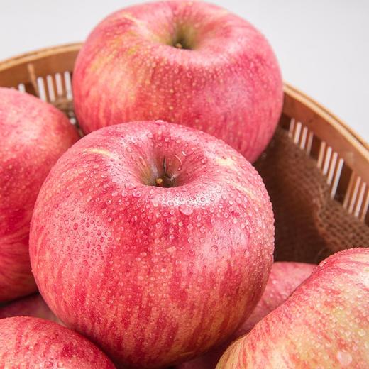 陕西洛川早熟红富士苹果16枚礼盒装(3.4kg以上) 商品图2