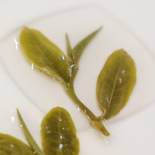 曼松王子山高杆2025-250克-晒青绿茶 商品图2