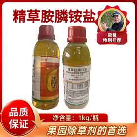 精草铵膦   果树专用除草剂