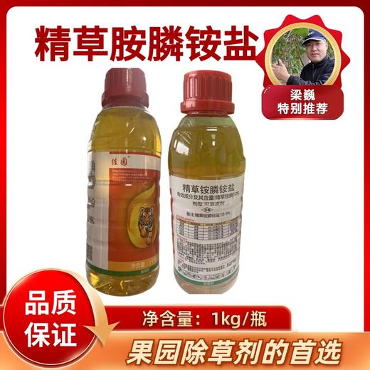 精草铵膦   果树专用除草剂 商品图0