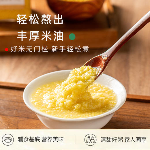 有机胚芽小米新米内蒙古特产黄小米瓶装450g 商品图3