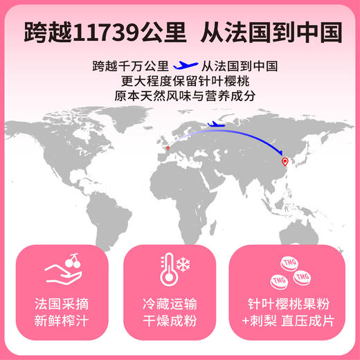 天美健针叶樱桃刺梨VC咀嚼片30g(1g*30片) 补充vc 商品图4