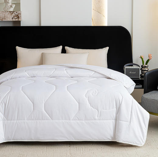 红蜻蜓舒眠臻品羊毛冬被 商品图1