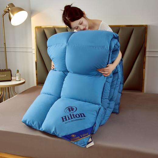 酒店同款棉被冬被羽丝绒春秋被仿鹅绒被芯被子 商品图4