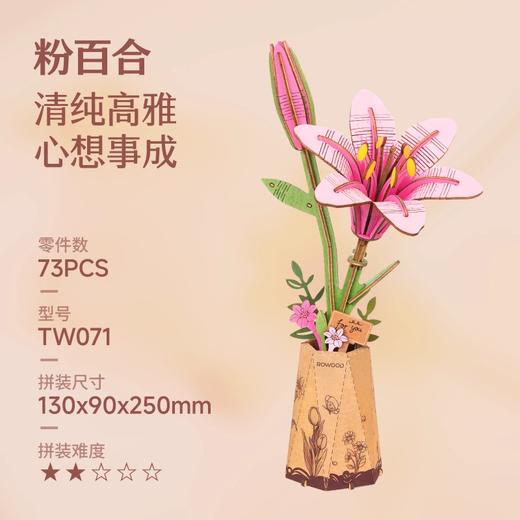 若来手工DIY微缩模型合集 商品图3