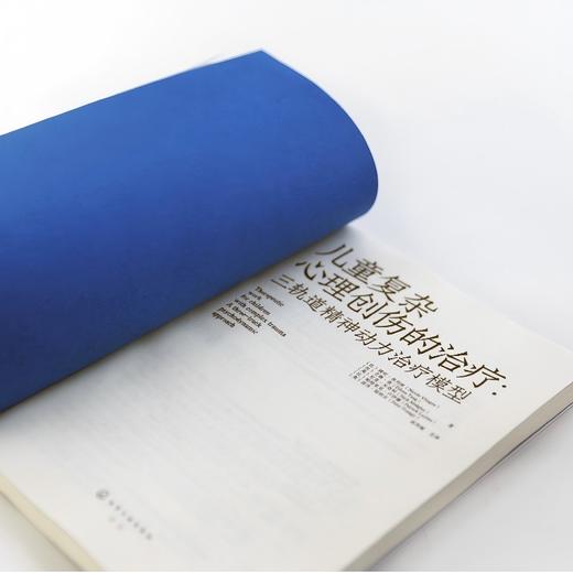 儿童复杂心理创伤的治疗 : 三轨道精神动力治疗模型 商品图4