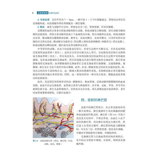 足部皮肤病诊断与治疗 陈崑 孙彩虹 陆振中 供足病患者和对足部美容有需求的求美人士作为防治足病 健足美足的参考书 科学出版社 商品图4