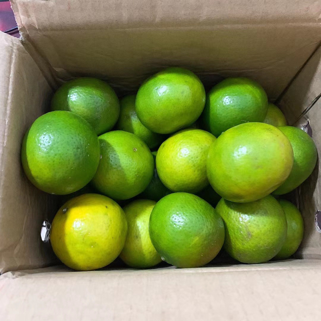 微信图片_20231110212314