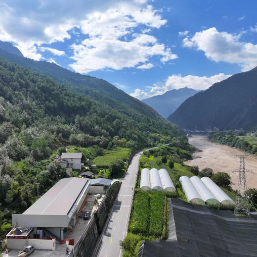 云南纯手工九蒸九晒黄精 滇黄精/多花黄精   500g/瓶 商品图4