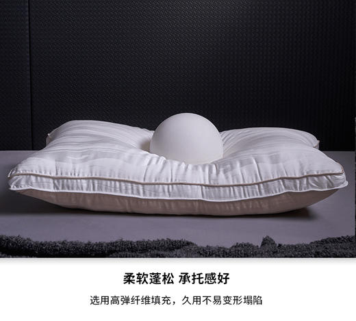 【维科家纺】 慕彩抑菌防螨纤维枕/只 商品图9