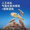 京东京造鲜来多香酥小黄鱼100g 即食海鲜黄鱼酥小鱼干孕妇高蛋白零食 /休闲食品 /海味零食 /鱼零食 商品缩略图2