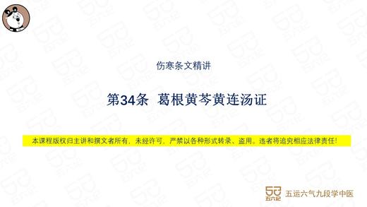伤寒第34条 葛根黄芩黄连汤证 商品图0
