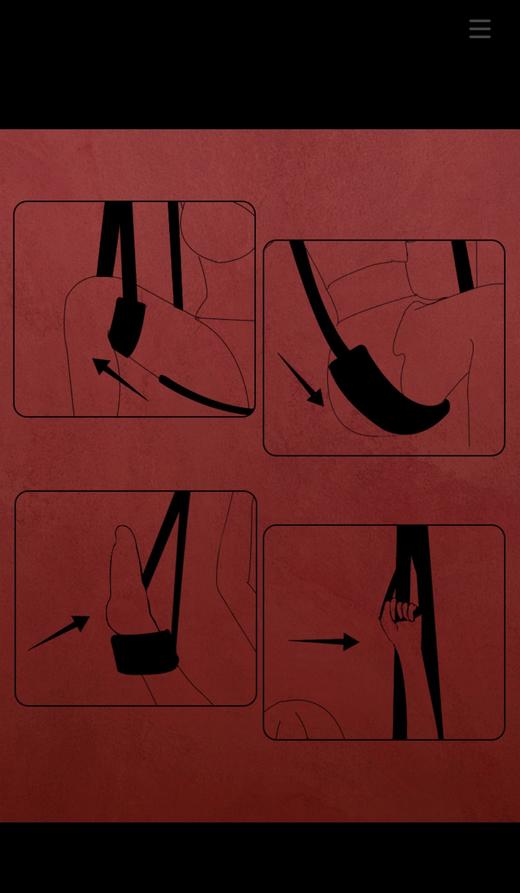 SwingSHAK!泰坦绑门秋千，悬空调教调琴，运动愉悦两不误 商品图2