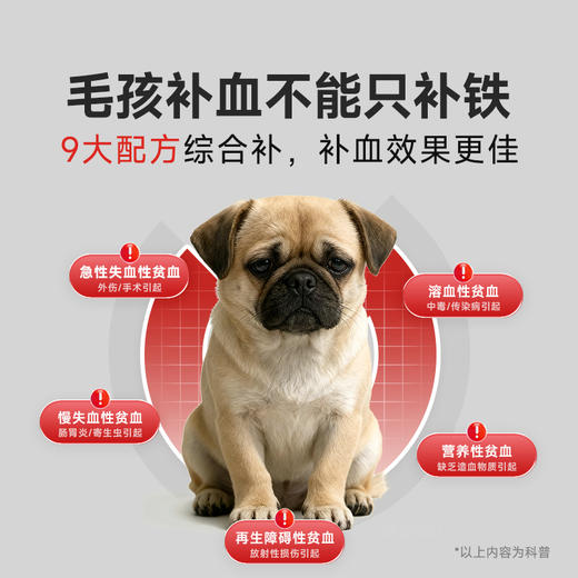 【2支加送赠品】谷登补血肝精膏（犬用）120g 商品图1